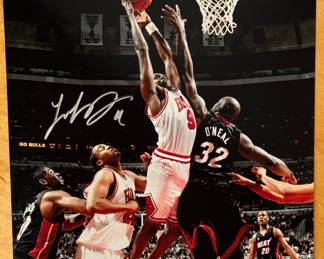 Chicago Bulls Signature.