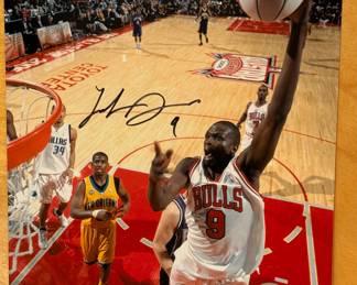 Chicago Bulls Signature.