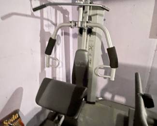 Gold’s gym XR45, $199