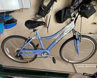 Avalon woman's bike, $125