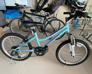 Granite Peak Bike, $65