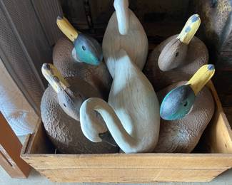 Mallard decoys and swans