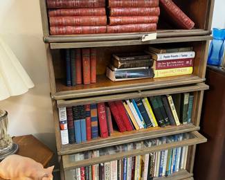 Lawyer’s book shelf, books