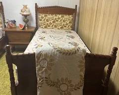 Twin Bed With Vinyl Accent