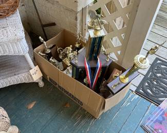 Free Box of Trophies 