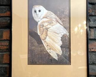 Framed Owl Print by Raymond Bell 