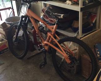 Mountain bike, have original papers, buy it now $350