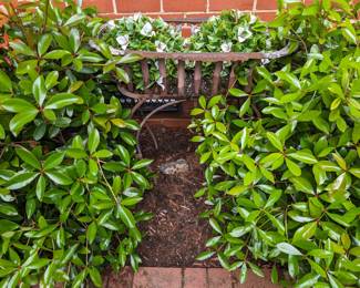 Cast Alluminum Planter