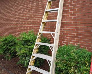 Werner Fiberglass Step Ladder