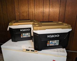 Igloo Coolers