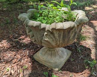 Concrete urn planter