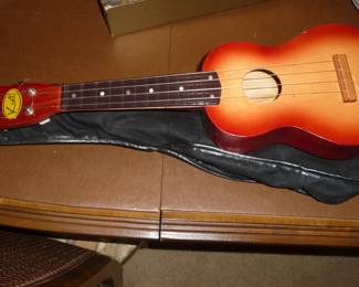 guitar with case