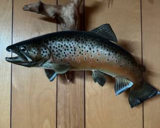 Mounted Trout