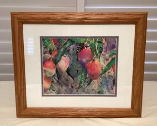 MMS136 Framed Picture Of Mangoes By Carli Oliver