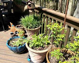 An assortment of planters 