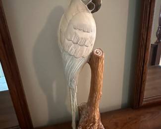 Carved Parrot 