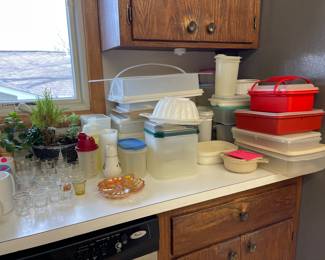 Lots of Tupperware, all with lids!