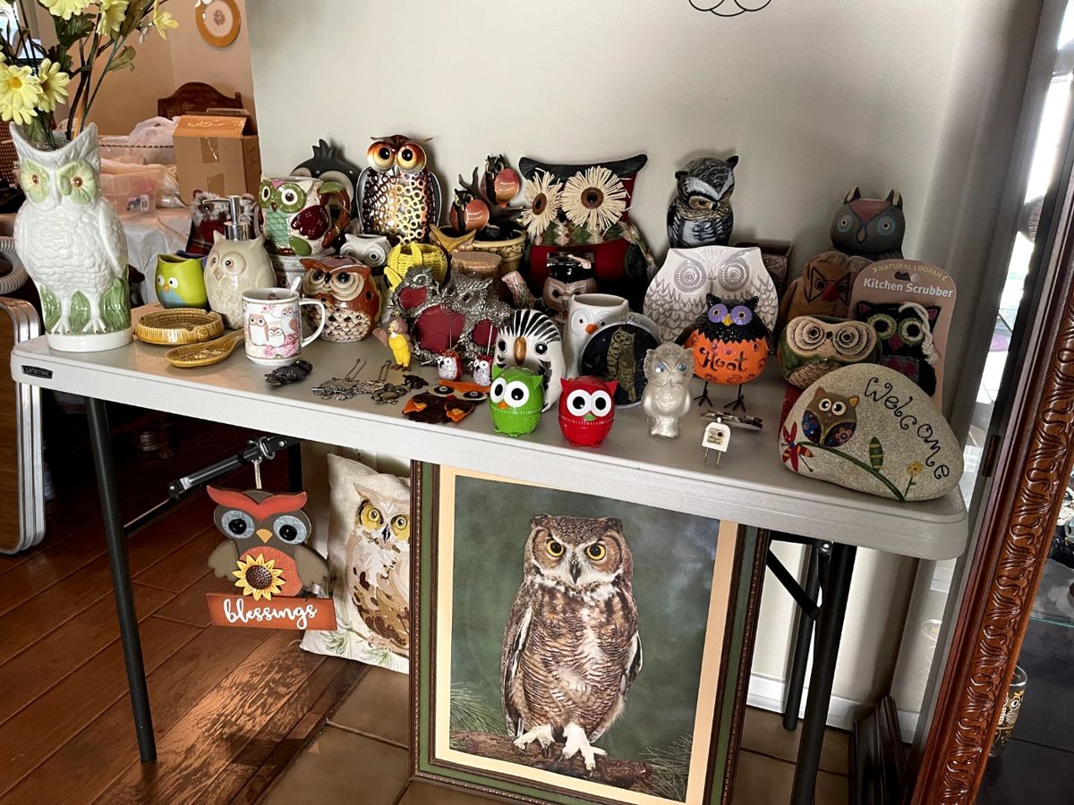 Owl Collection with Cabinet