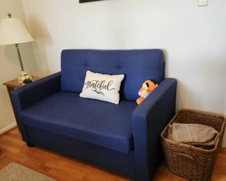 Sleeper Sofa Twin size