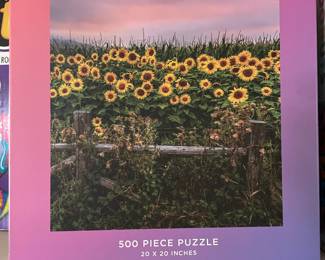 Assortment of Puzzles