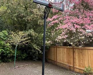 Portable/Adjustable Basketball Hoop
