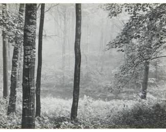 97
Paul Caponigro
b. 1932
"Redding Woods, Connecticut" From "Portfolio II," Circa 1957
Gelatin silver print on paper mounted to a board mount
Signed in pencil on the mount, at right: Paul Caponigro
Image/Sheet: 8.375" H x 11.25" W; Mount: 15.125" H x 18.125" W
Estimate: $800 - $1,200