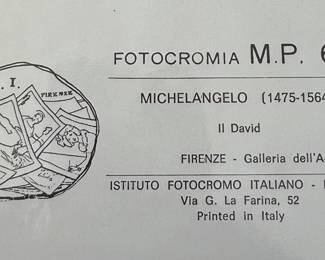 Fotocromia Michelangelo David