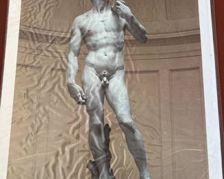 Fotocromia Michelangelo David