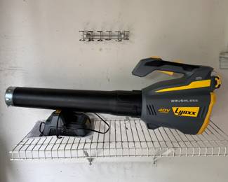 Lynxx 40V battery-operated blower, works well