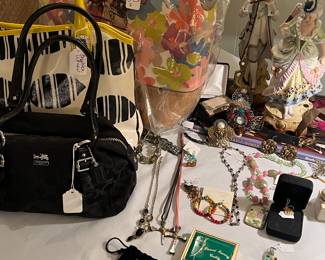 Coach, Brighton (retired) but new