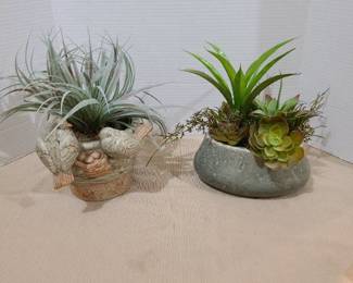 Faux succulents on ceramic pots, 10 in. tsll