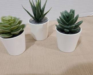 Faux succulents, tallest is 5 inches