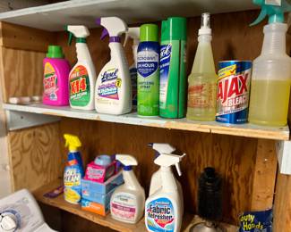 Assorted cleaning supplies 
