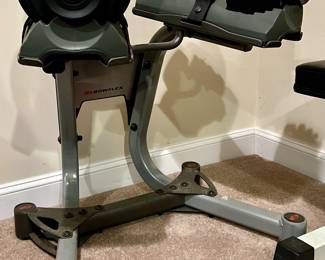 Bowflex Adjustable Dumbbells 