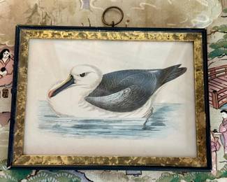 "Seagull" Watercolor