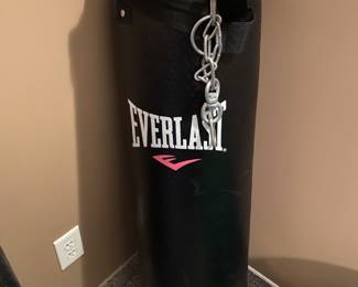 Brand new Everlast bag and heavy duty stand