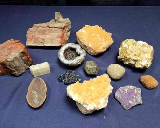 OUTSTANDING.MINERAL LOT WITH FOSSILS