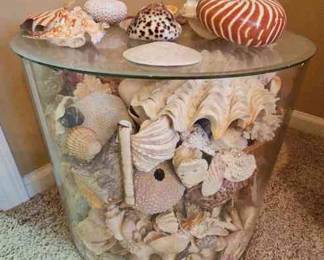 Table Of Shells