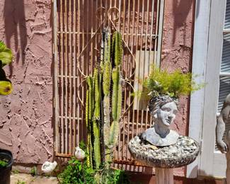 Various Plants & Statues