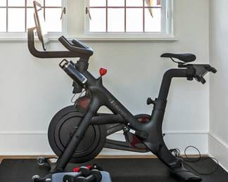 Peloton Bike Plus. Larger rotating touchscreen, allowing easy transition from cycling to yoga etc.  $700