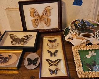 2 butterfly pictures have been sold