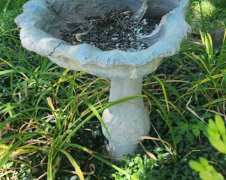 Concrete bird fountain