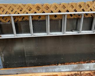 Plastic Lattice, Extension Ladder, Plexiglass