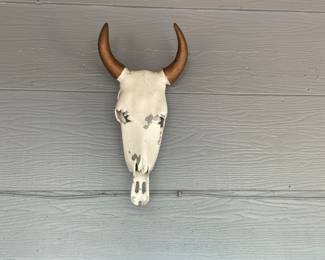 Steer skull