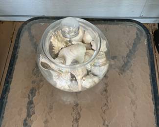 Seashells
