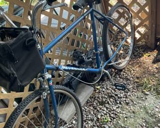 Savanna Bike