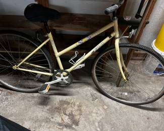 Silhouette Fuji Bike