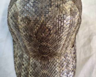 Rattle Snake Skin cap