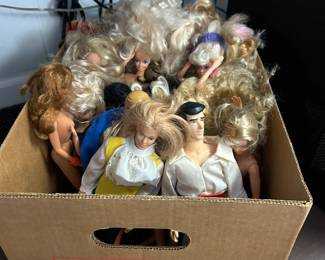 Various Ken and Barbie dolls