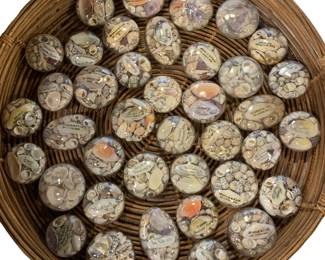 A few of the many antique travel souvenir seashell glass domes